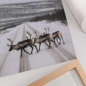 Decorative poster showing a winter landscape