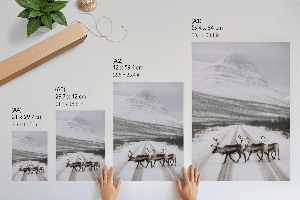 Decorative poster showing a winter landscape