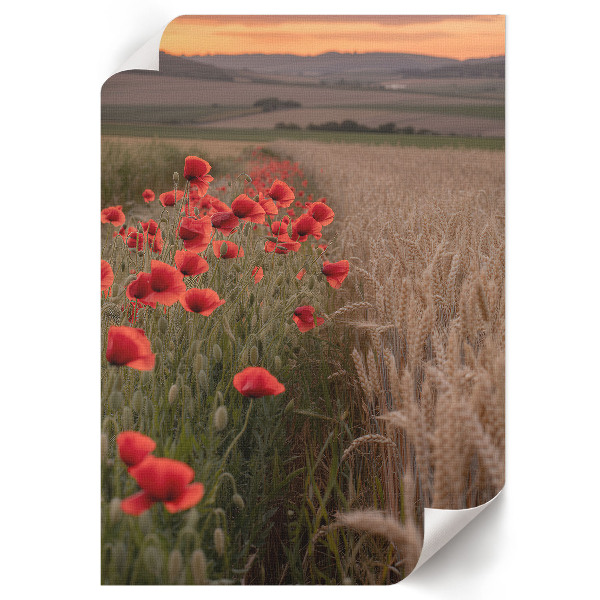 Poster with poppies and grain