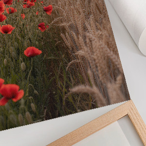 Poster with poppies and grain