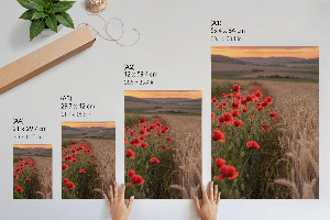 Poster with poppies and grain