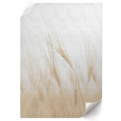 Decorative poster Ears of grain