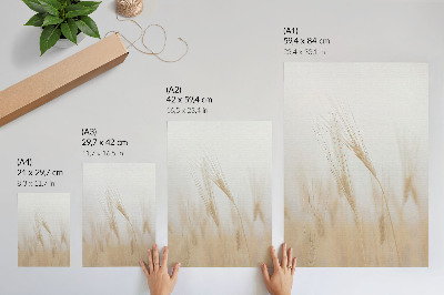 Decorative poster Ears of grain
