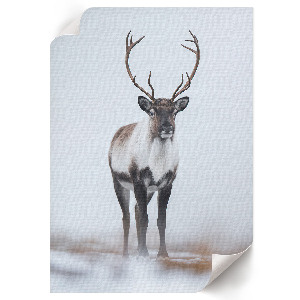 Wall print featuring a winter reindeer scene