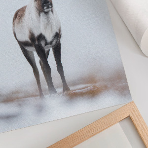 Wall print featuring a winter reindeer scene
