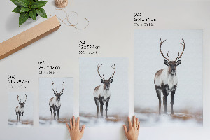 Wall print featuring a winter reindeer scene