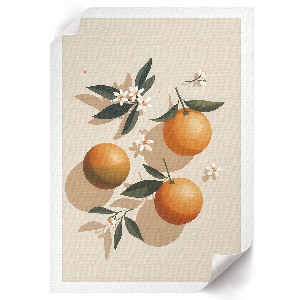 Decorative poster with an illustration of oranges
