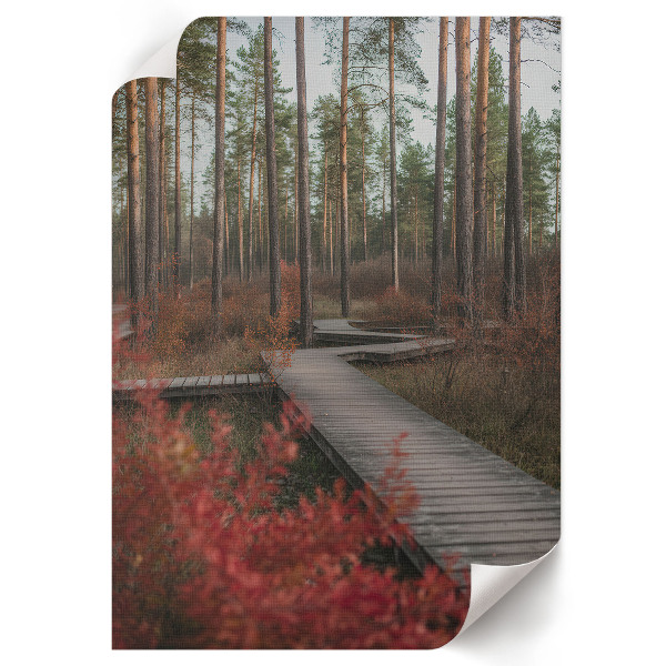 Wall print Forest road