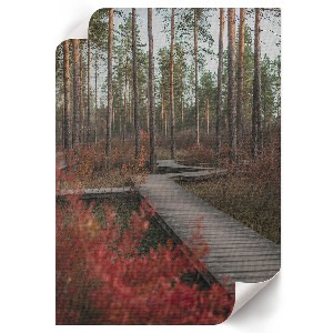 Wall print Forest road