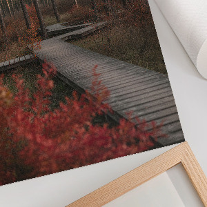 Wall print Forest road