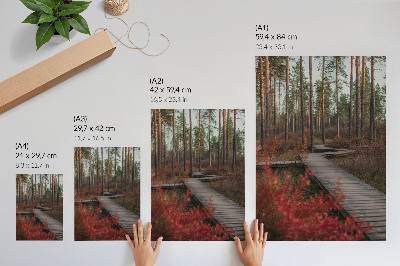 Wall print Forest road
