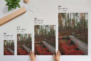 Wall print of a forest road