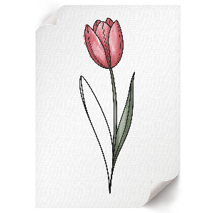 Wall art Pink tulip