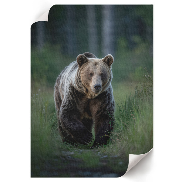 Poster featuring a forest bear
