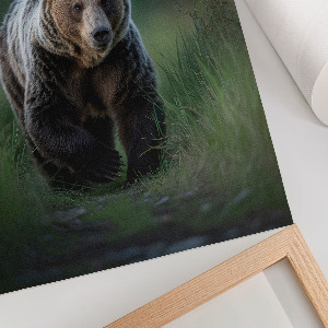 Poster featuring a forest bear