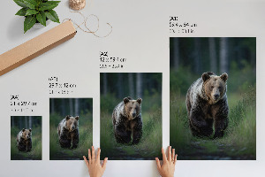 Poster featuring a forest bear