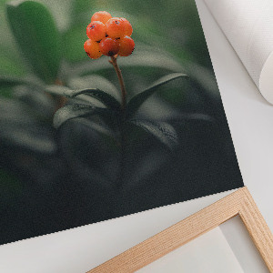 Poster with orange berries