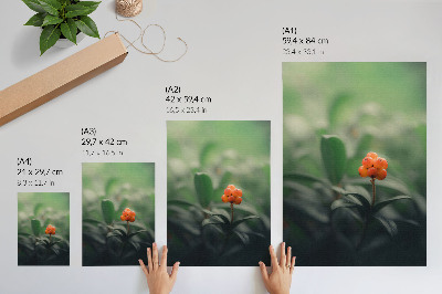 Poster Orange berries