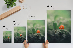 Poster with orange berries