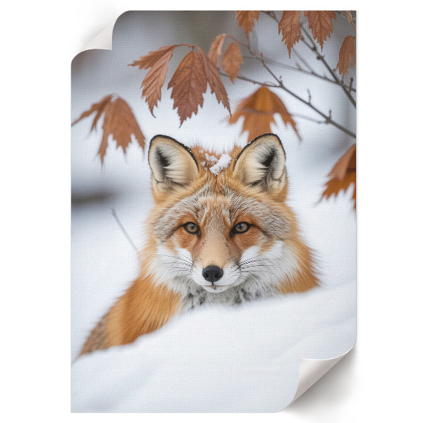Art print Winter fox