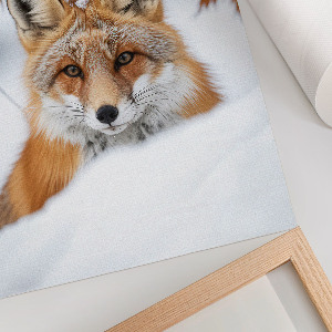 Art print Winter fox