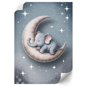 Poster The Elephant and the Moon