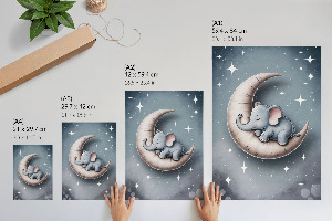 Poster The Elephant and the Moon