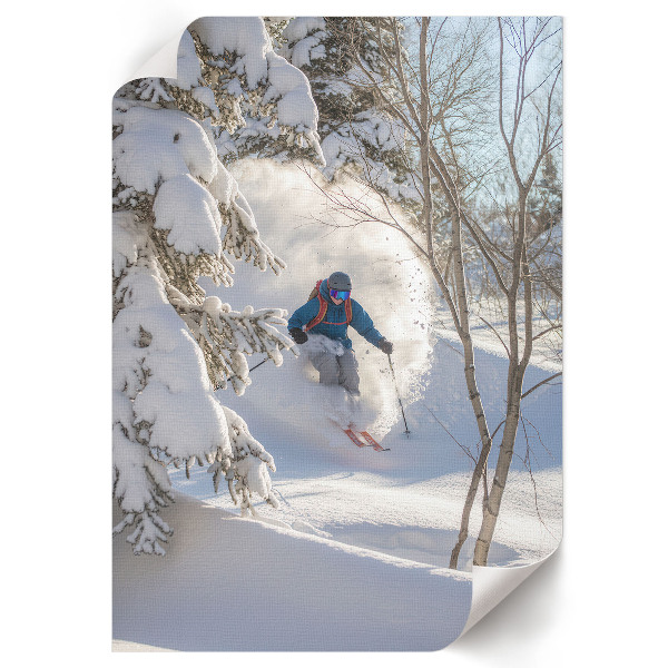 Wall art Winter descent