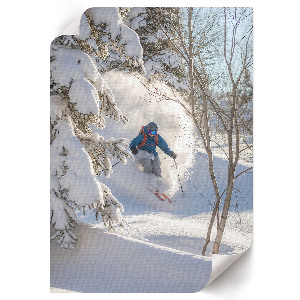 Wall art Winter descent