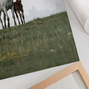 Wall print Horses in the meadow