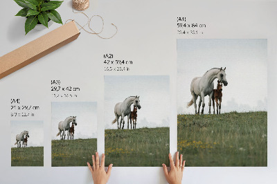 Wall print Horses in the meadow