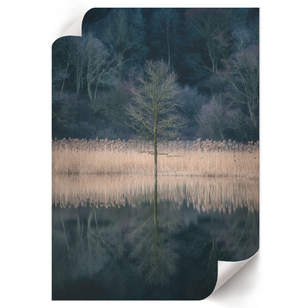 Decorative poster titled "A Peaceful Landscape"