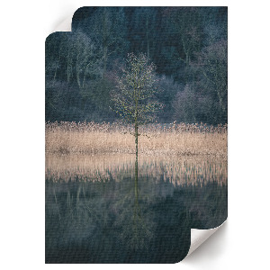Decorative poster A peaceful landscape