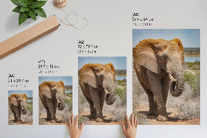 Poster featuring an elephant walking