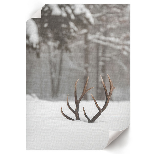 Wall art featuring antlers in the snow