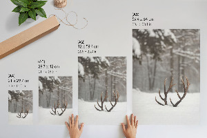 Wall art featuring antlers in the snow
