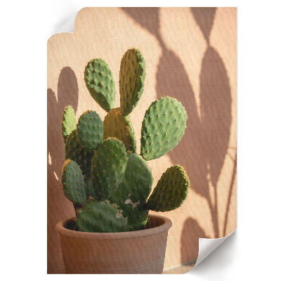 Wall print Green cactus