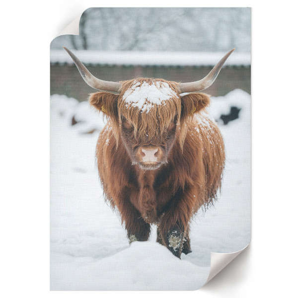 Art print Winter animal