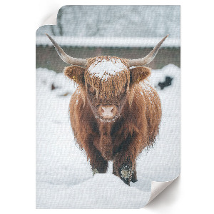 Art print featuring a winter animal