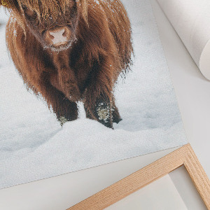 Art print Winter animal