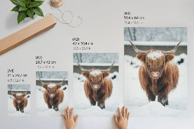 Art print Winter animal
