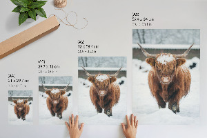 Art print Winter animal