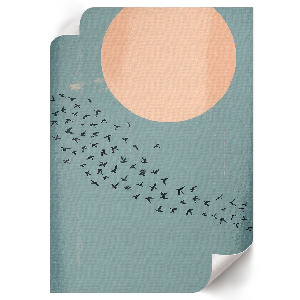 Poster Birds in the sky