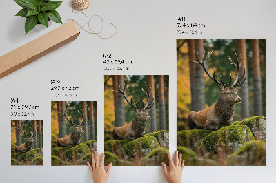 Decorative poster A stately deer