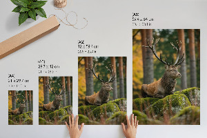 Decorative poster A stately deer