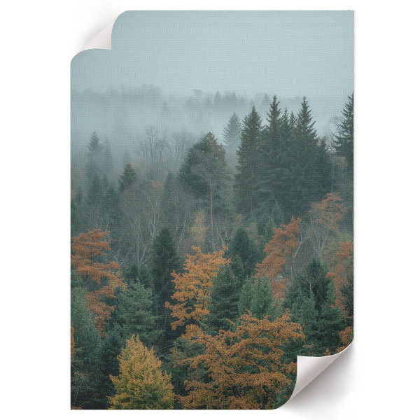 Art print Misty forest