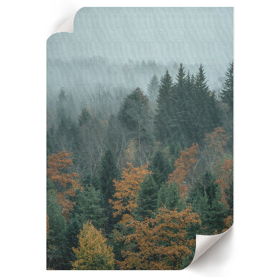 Art print Misty forest