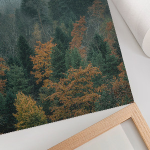Art print Misty forest