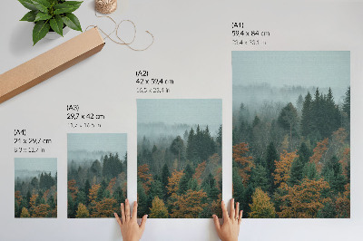 Art print Misty forest