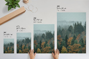 Art print Misty forest
